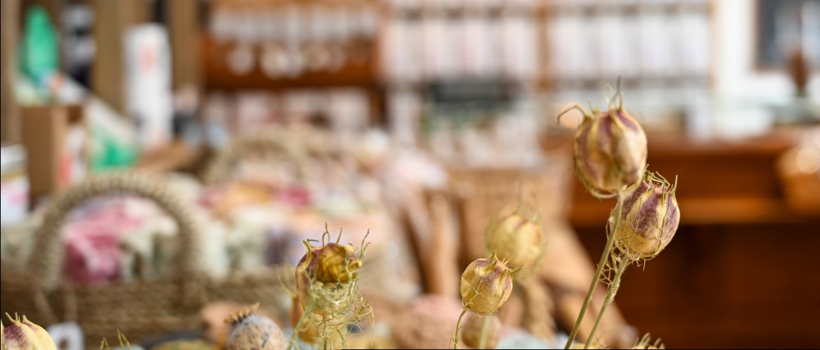 Nahaufnahme von getrockneten Nigella-Samenkapseln vor dem unscharfen Hintergrund des herbstlich dekorierten Ladenlokals.